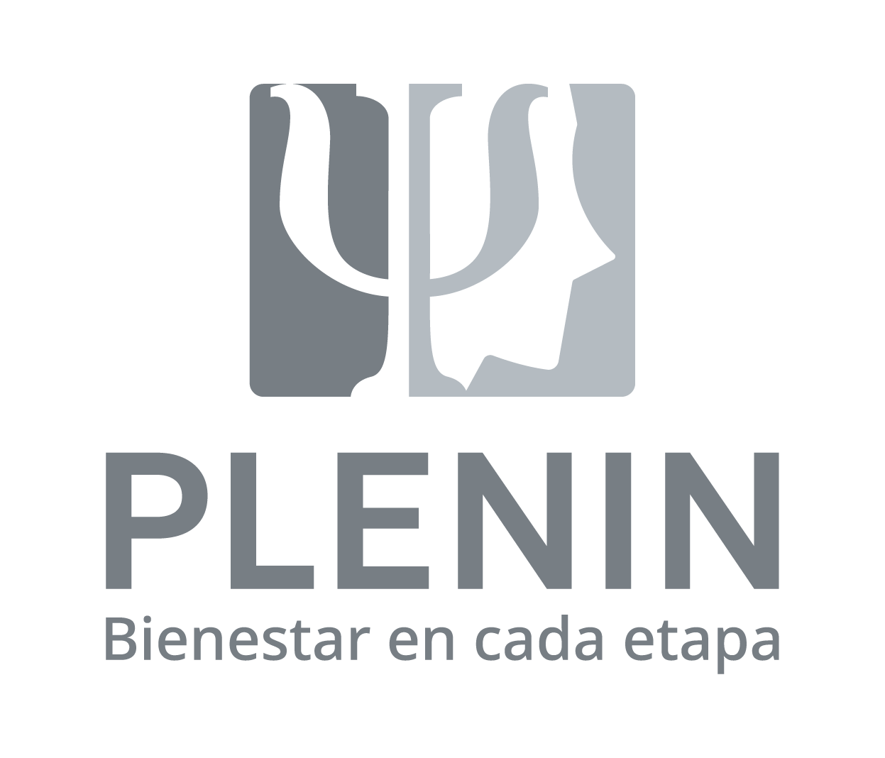Logo PLENIN
